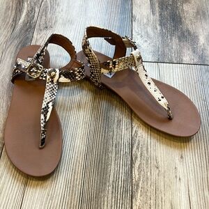 Steve Madden sandal snake skin